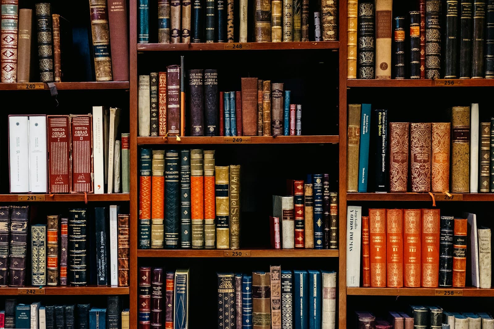 Library shelves densely packed with bound academic volumes